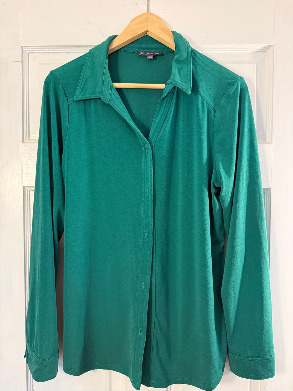Adrianna Papell Teal Green Long-Sleeve Button-Down Shirt